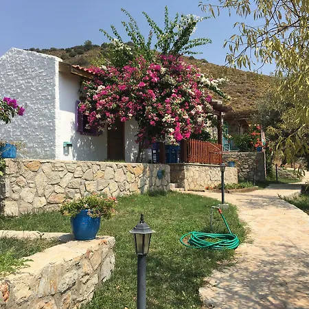 Koy Evi * פלמוטבוקו