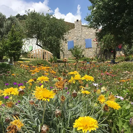 מלון דירות Koy Evi פלמוטבוקו