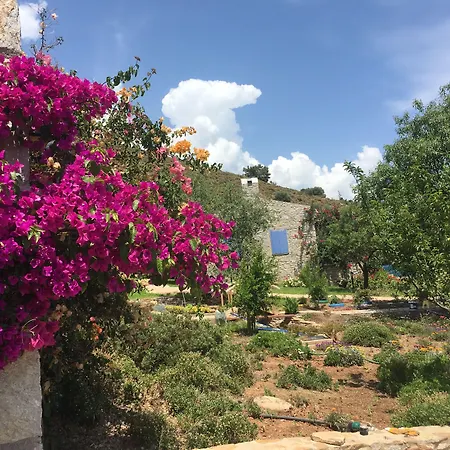 Koy Evi מלון דירות *