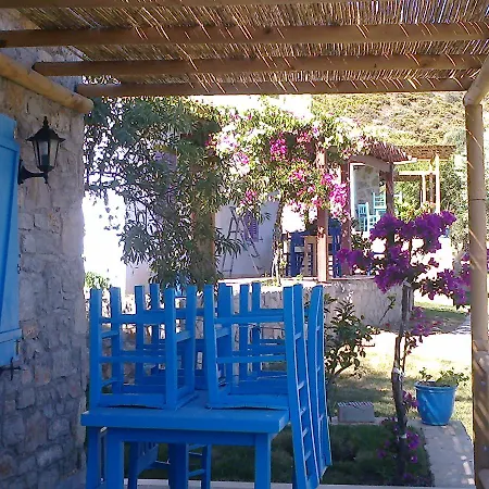 Koy Evi פלמוטבוקו