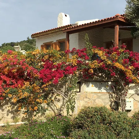 Aparthotel Koy Evi Palamutbuku