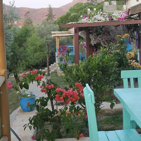 Koy Evi