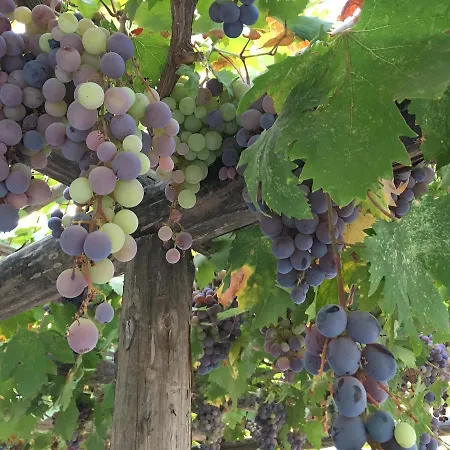 Koy Evi Aparthotel *