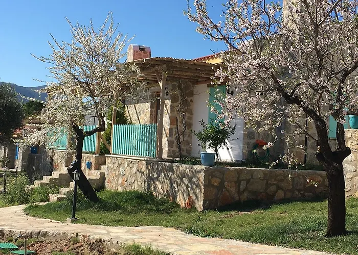 Koy Evi パラムップク