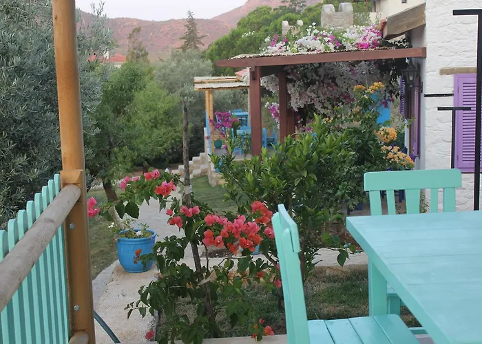 Koy Evi