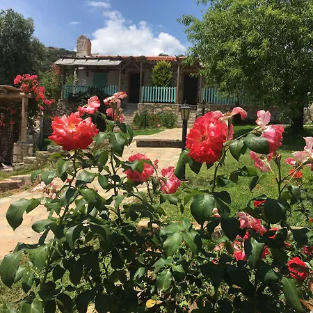 Koy Evi Palamutbükü