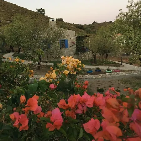 Koy Evi Aparthotel Palamutbuku