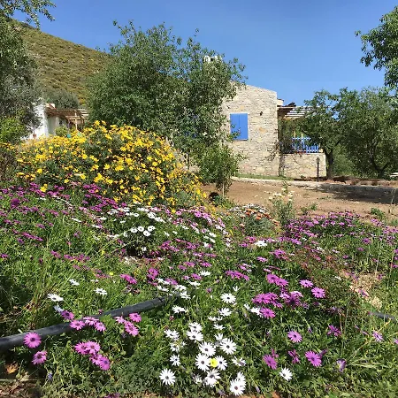 Koy Evi Aparthotel *