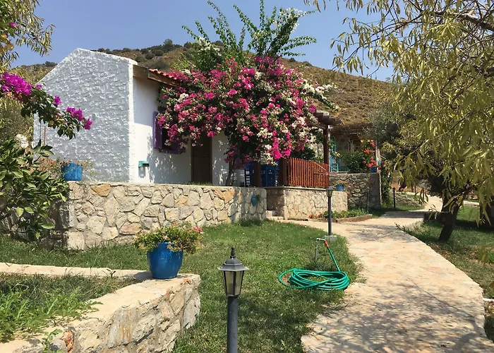 Koy Evi * Паламутбуку