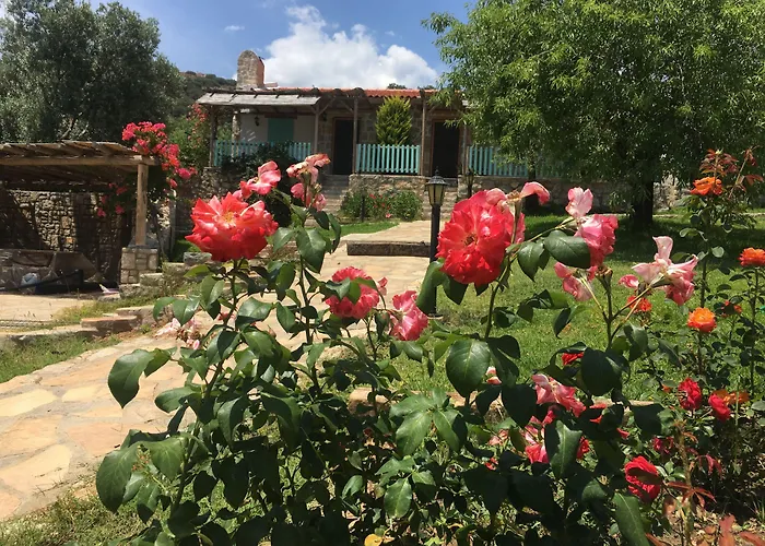 Koy Evi Паламутбуку