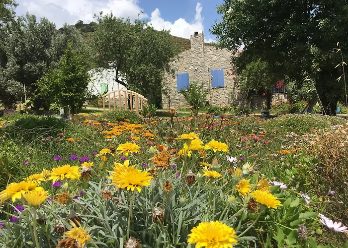Апарт-отель Koy Evi Паламутбуку