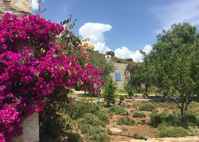 Koy Evi Апарт-отель *