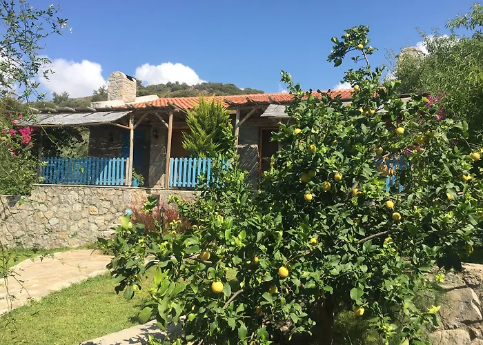 Koy Evi * Паламутбуку