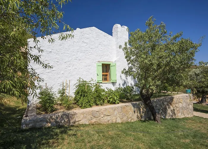 Апарт-отель Koy Evi Паламутбуку