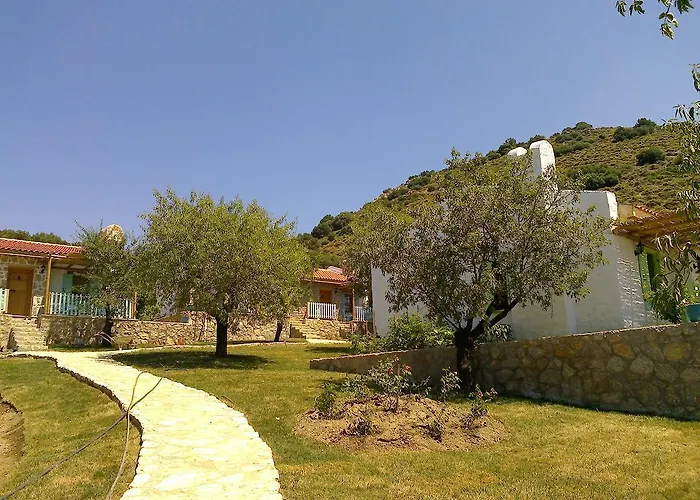 Koy Evi * Паламутбуку