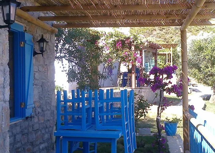 Koy Evi Паламутбуку