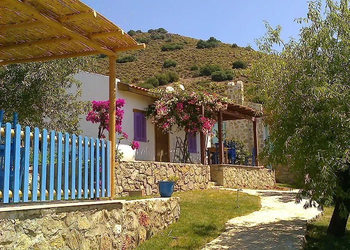 Koy Evi * Паламутбуку