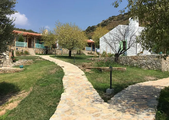 Koy Evi * Паламутбуку