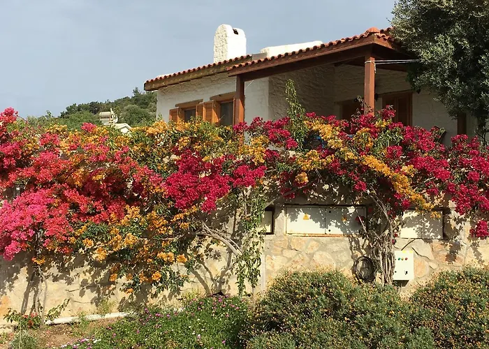 Апарт-отель Koy Evi Паламутбуку