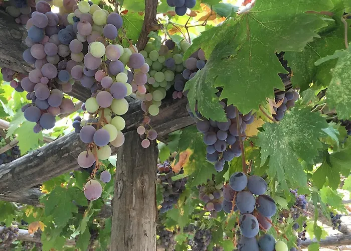 Koy Evi Апарт-отель *